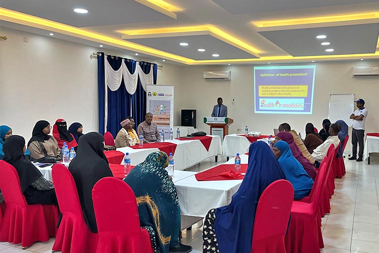 写真：ヘルスプロモーター対象のトレーニング（ソマリア）