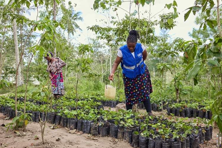 植林のための苗を育てる女性とプラン職員(ケニア)