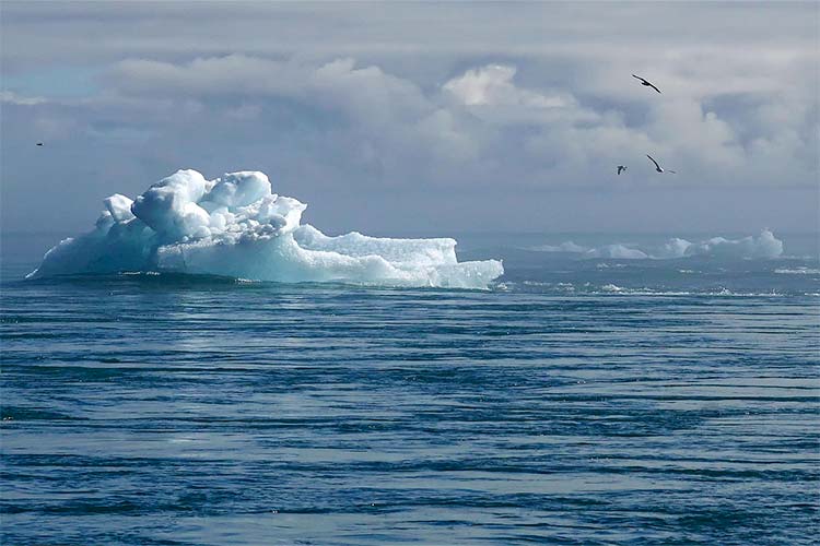 写真:干ばつ時の学校給食支援(ケニア)