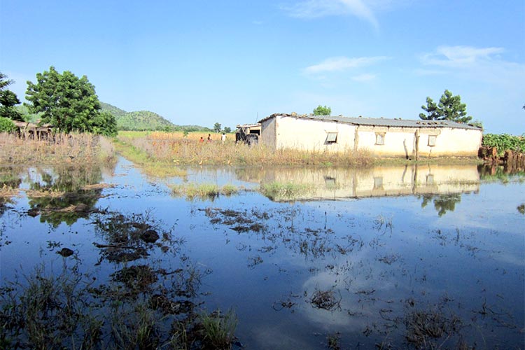 写真:洪水により深刻な被害を受けた地域(カメルーン)