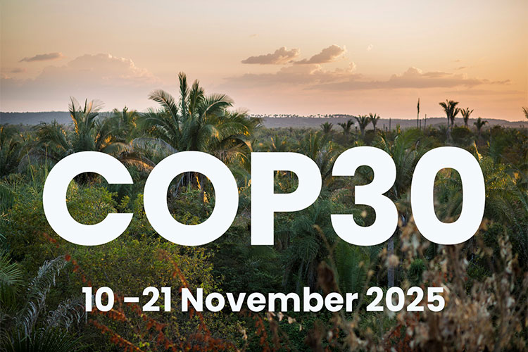 イメージ:温室効果ガスの増加による地球温暖化