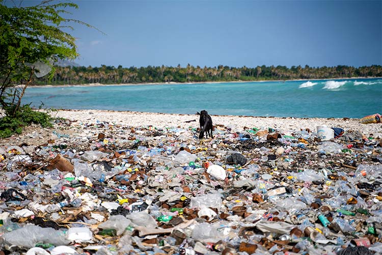 海岸に打ち上げられたゴミ（ハイチ）