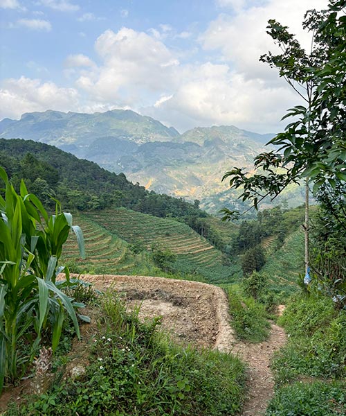 写真：プロジェクト実施地トゥエンクアン省の棚田 