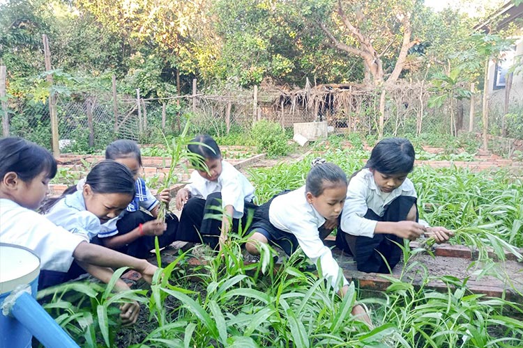 写真：学校菜園の活動に熱心に取り組む