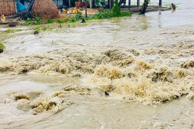 写真:大雨による川の増水
