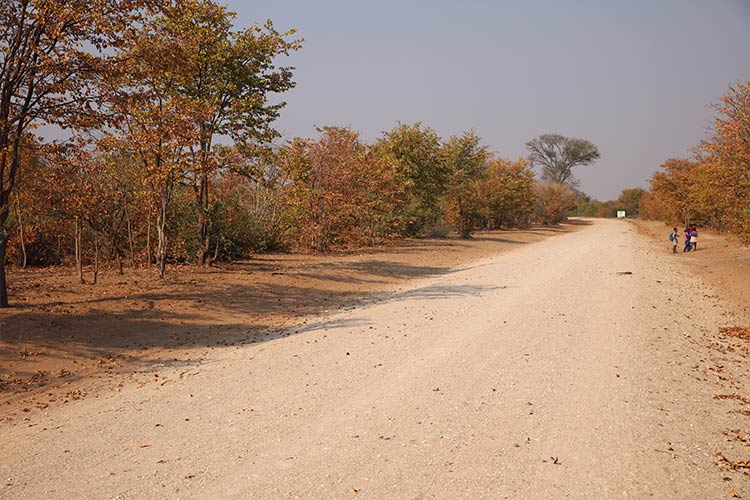 写真：子どもたちの通学路