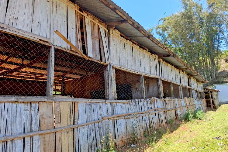 写真：教室の壁板は劣化し剥がれ落ちている