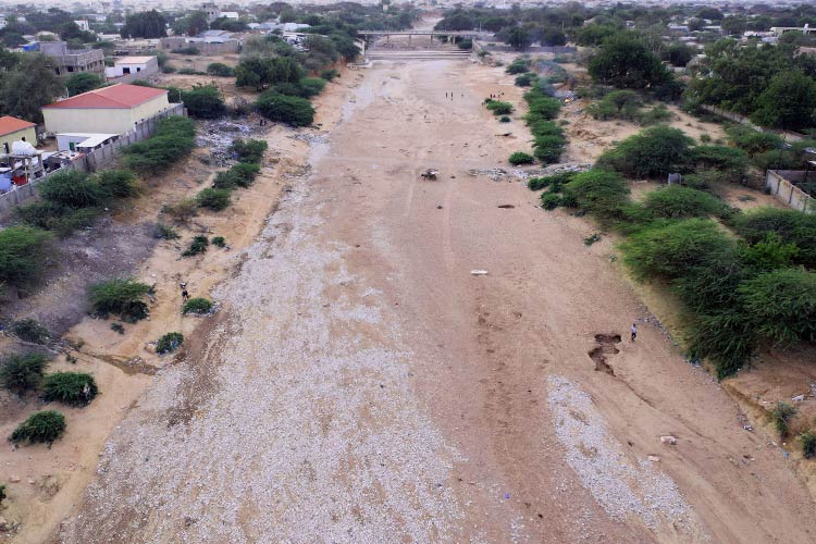 画像:干上がった川