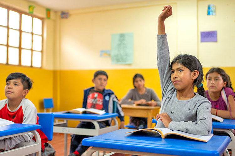 「子ども主体の地域防災」プロジェクト（ペルー）