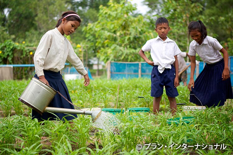 画像：子どもたちが協力して学校菜園を運営
