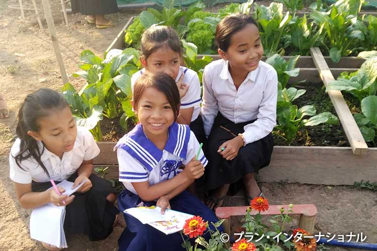 画像：学校菜園で食材となる野菜を収穫