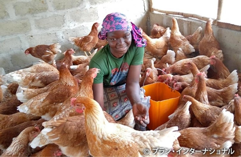 「女の子にできるはずがない」その壁を越えて、養鶏場のオーナーに