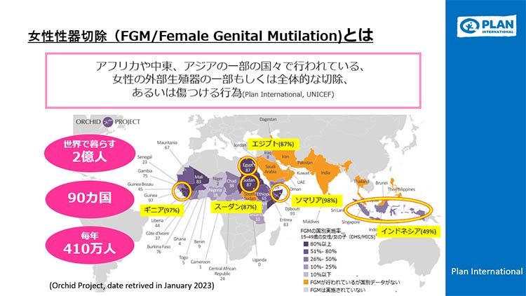 写真：FGMとは何かを詳しく説明