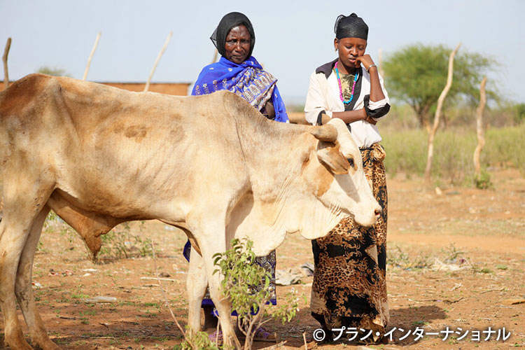 写真：痩せた牛を見守る家族（エチオピア）