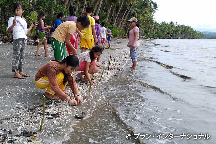 写真：海岸にマングローブを植える活動家たち