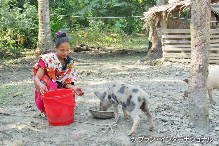 写真：養豚により収入を得ることができるようになった女性（バングラデシュ）