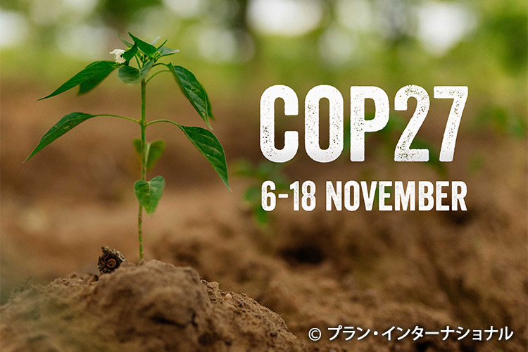 写真：COP27(国連気候変動枠組み条約第27回締約国会議)