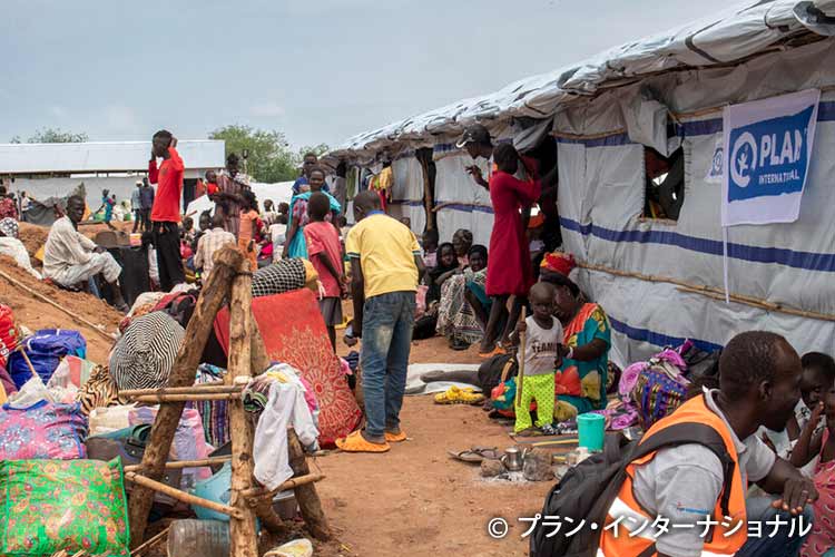 写真：スーダンでの紛争激化から逃れてきた人々のための仮設シェルター（南スーダン）