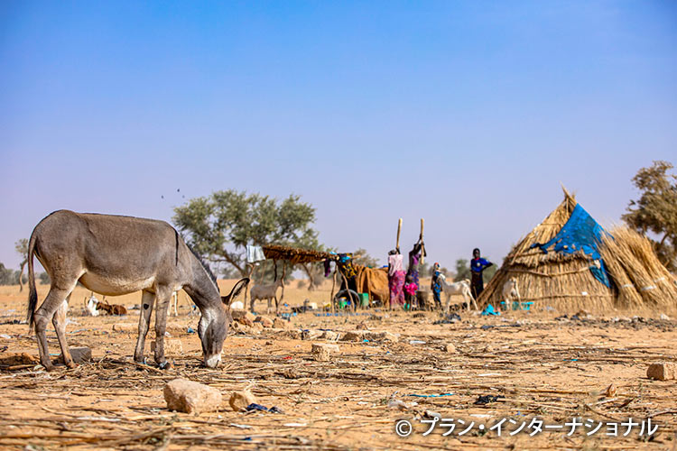 写真：気候変動の影響により干ばつが続く（ニジェール）