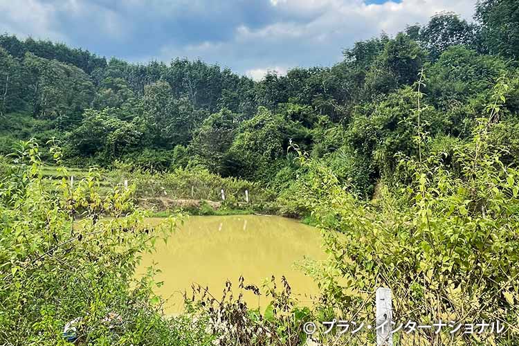 写真：子どもたちが手洗いや飲み水として使う池の水（ラオス）