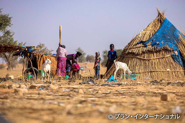 写真：干ばつによる食料不足（ニジェール）
