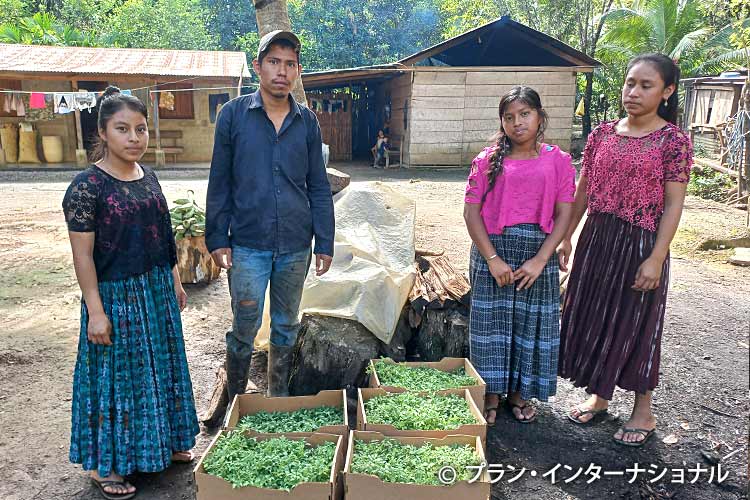 トマトの苗を受け取った先住民族の若者たち（グアテマラ）