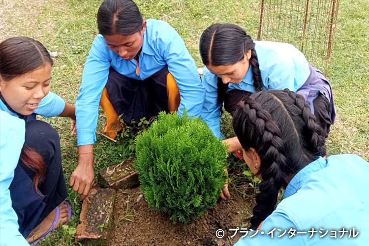 学校の緑化対策で植栽をすすめる生徒たち（ネパール）