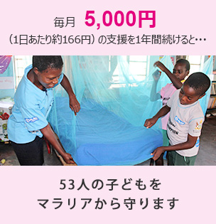 毎月5000円（1日あたり約166円）の支援を1年間続けると53人の子どもをマラリアから守ります