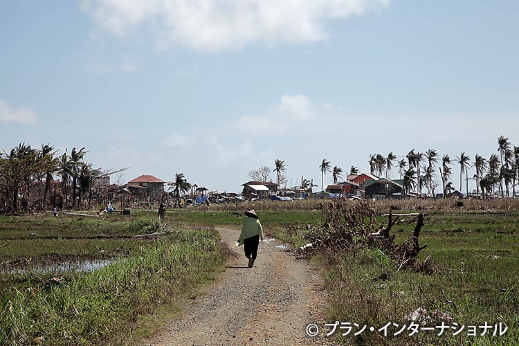 写真：農村部の様子