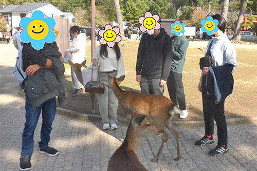 まずは鹿にご挨拶