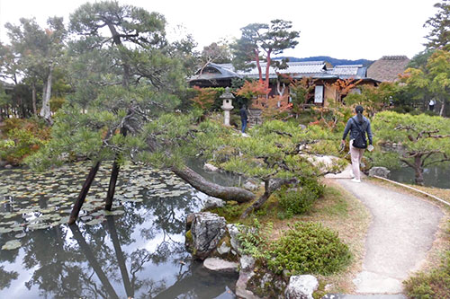 人々の心を癒す庭園