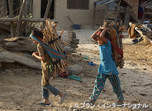 写真：木を運ぶ女の子たち